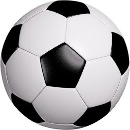 1033319:COM-WWW:1033319:COM